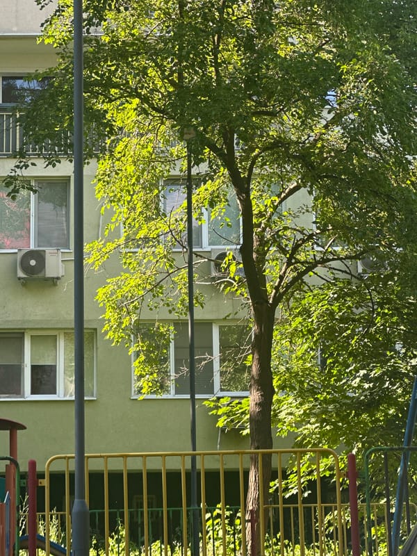 Urban neighborhood caught mid-renovation, cranes and greenery in frame