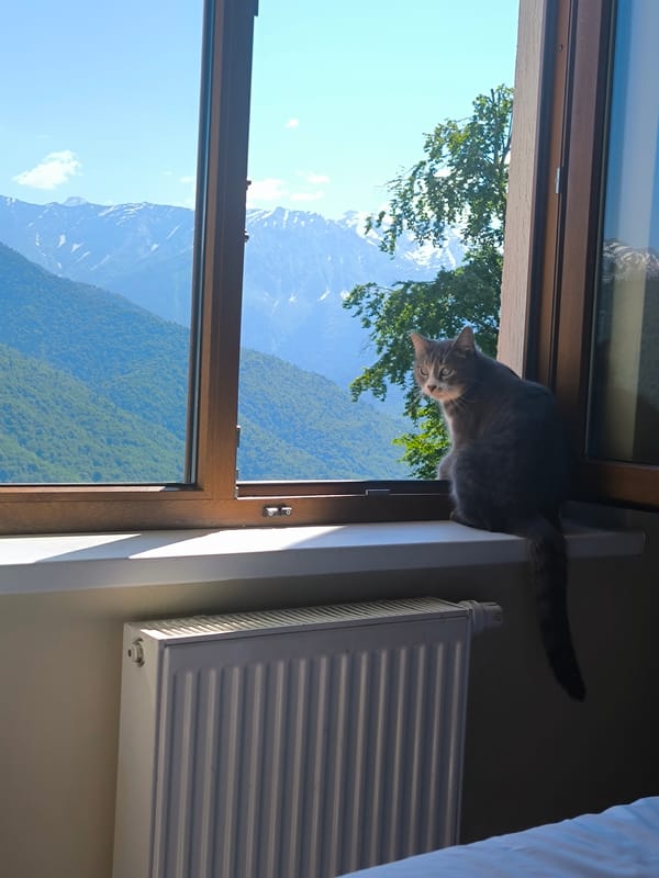 Mountain views around Sochi — cable cars, open roads, and a cat on a sill
