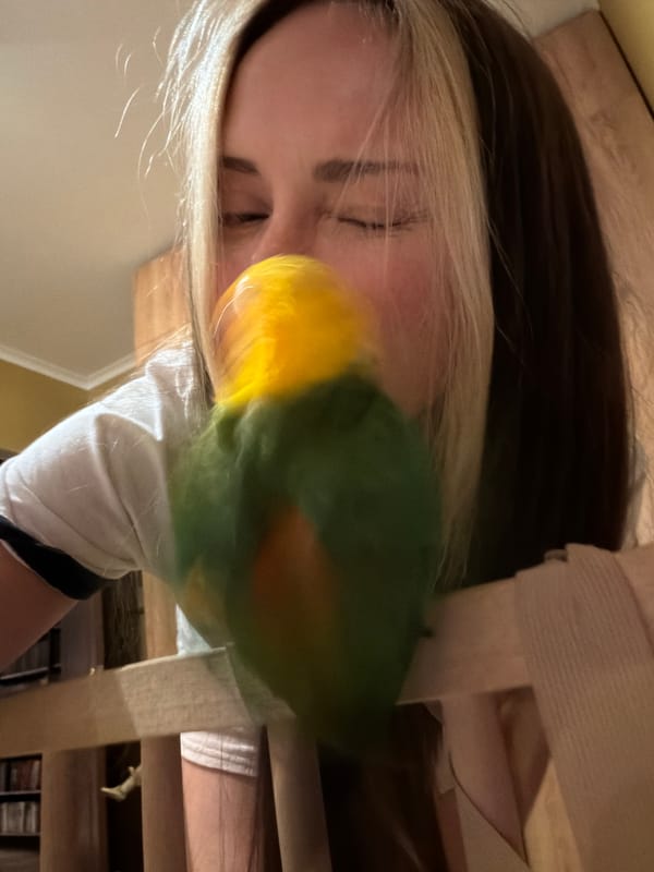 Woman photographed with colorful bird in Khimki indoor setting