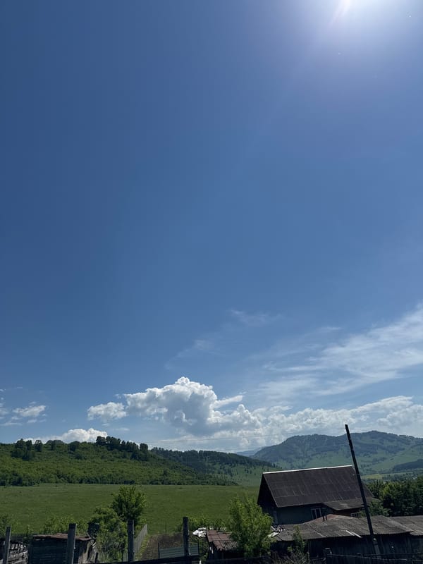 Rural morning scenes and frog figurines documented in Soloneshnoye, Russia
