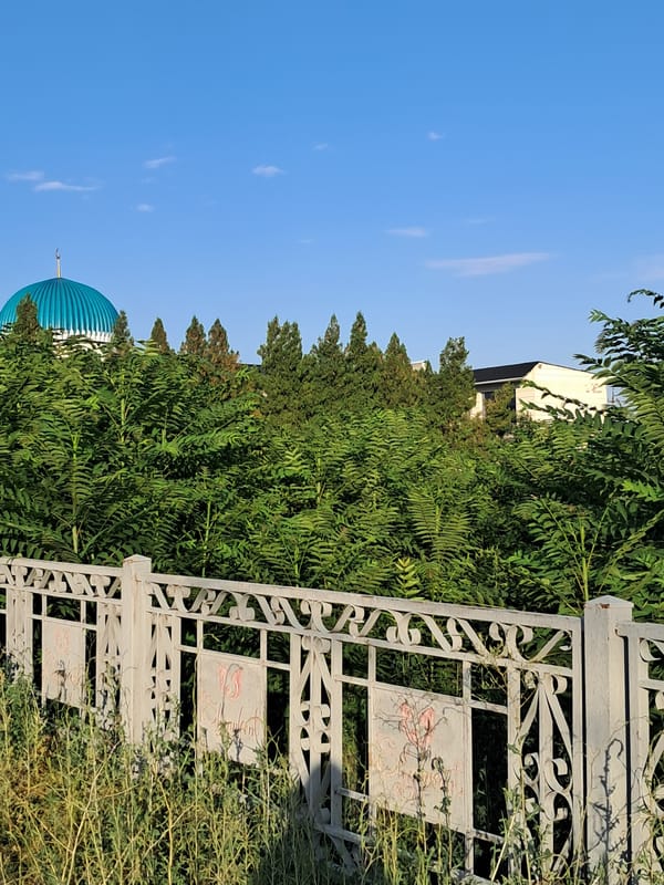 Afternoon stroll through Shymkent streets, mosque and everyday life