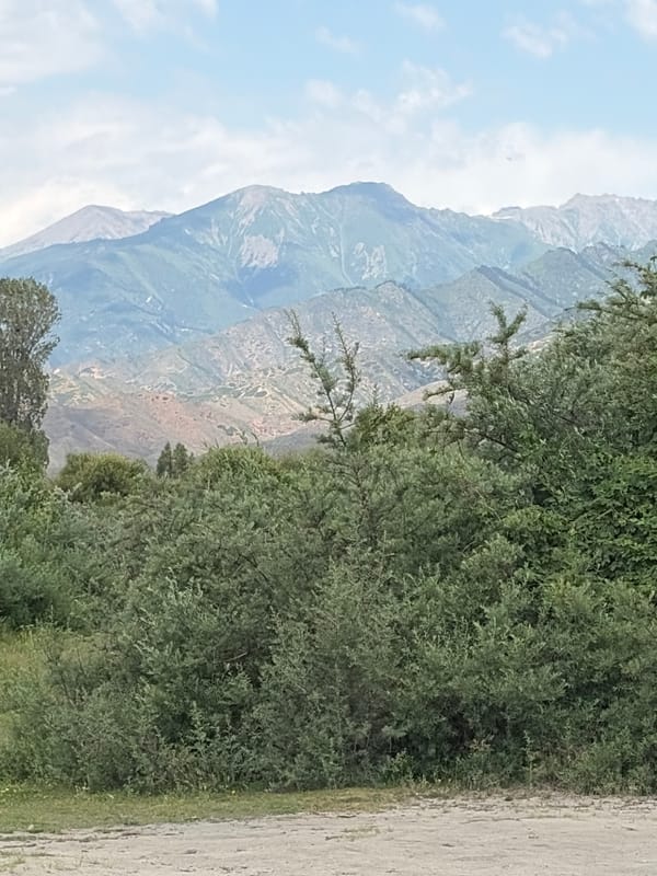 Hot springs, beaches, mountains, cherries, and fish on a cloudy day