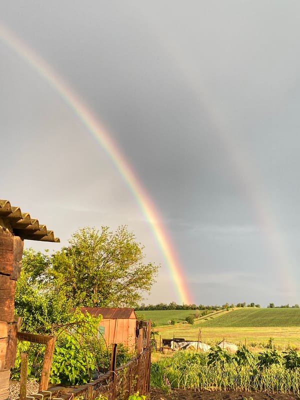 Double rainbow appears over rural farmland during overcast afternoon