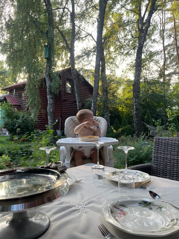 Backyard lunch in Tomilino, toddler in high chair, adult on phone