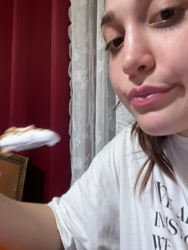 Resident documents quiet afternoon at home in Schiltigheim