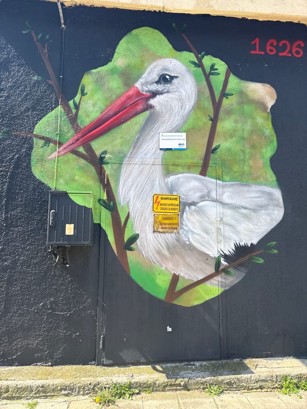 Bird-themed street murals spotted on utility boxes in Varna