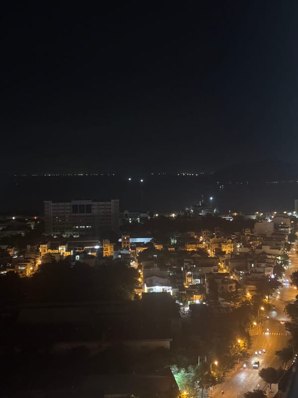 Nha Trang's nighttime coastline seen from above