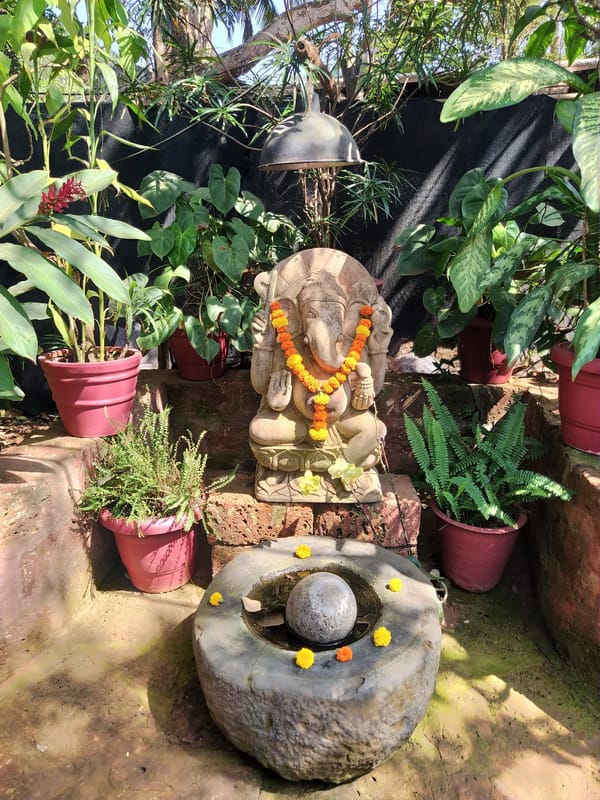Morning scenes from Goa beach towns captured by witnesses