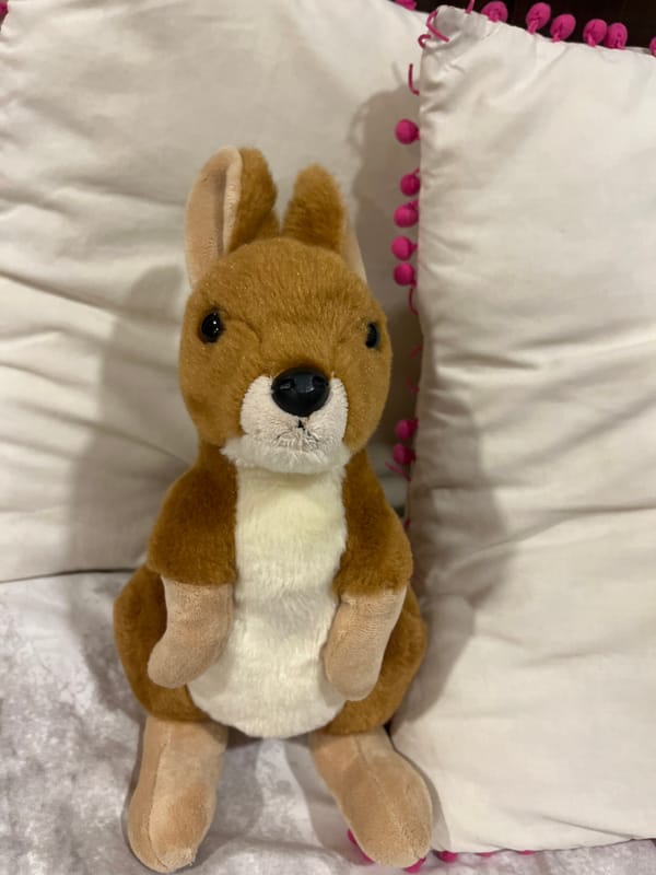 Stuffed kangaroo toy spotted on decorative pillow in Mexico