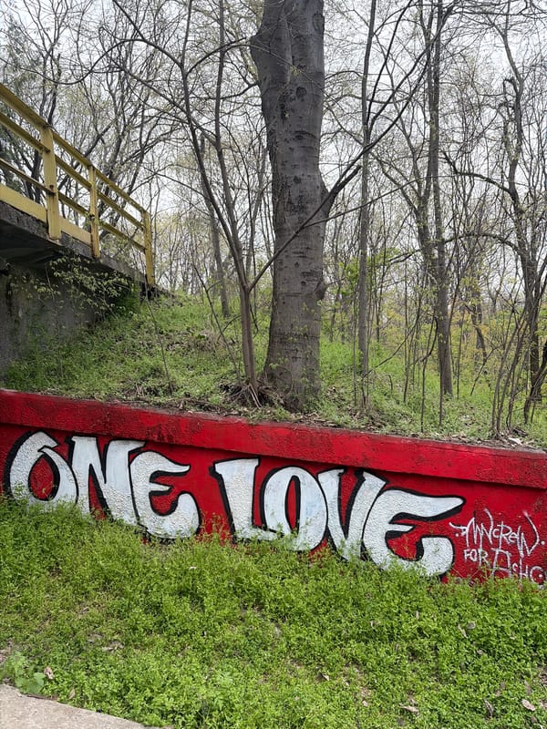 Morning walk through spring awakening park documented in Plovdiv