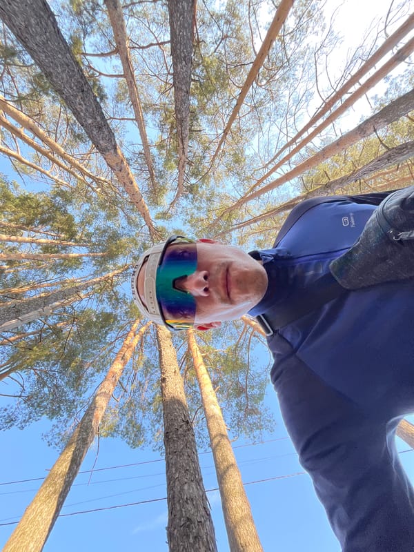 Man photographed from below in Russian pine forest