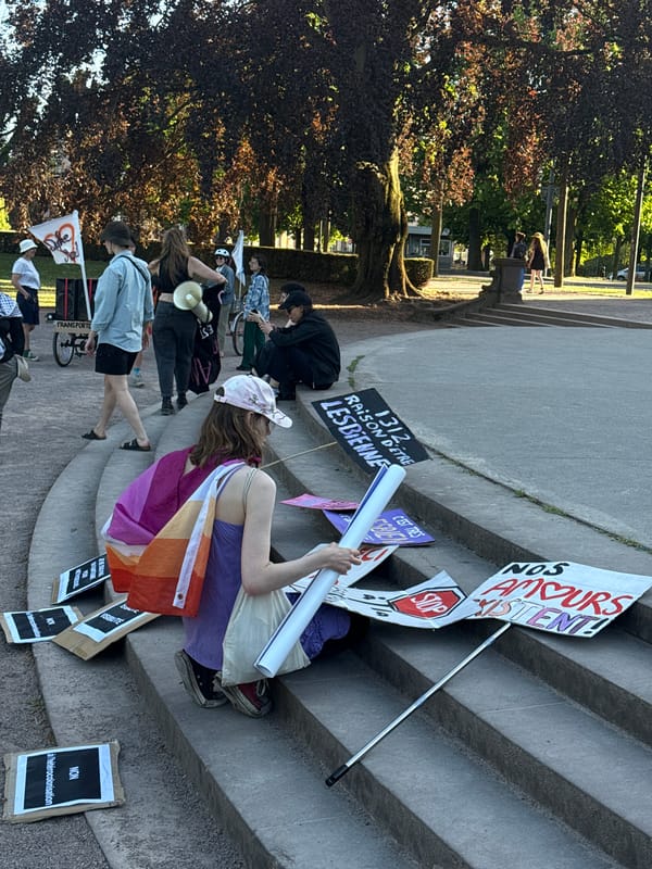 Lesbian rights demonstration held in Strasbourg, France