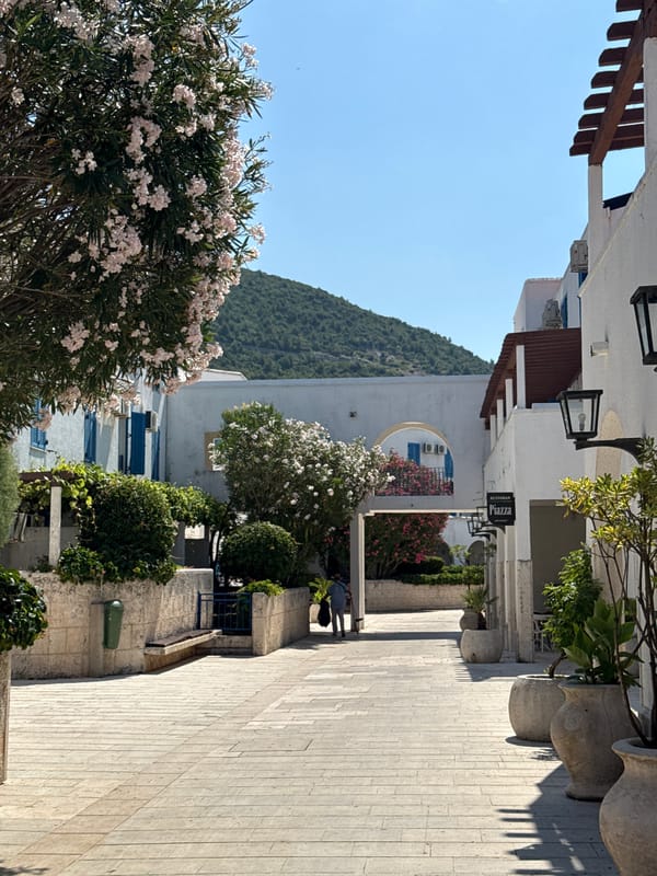 Sunny morning stroll through Budva's coastal promenade and hillside views