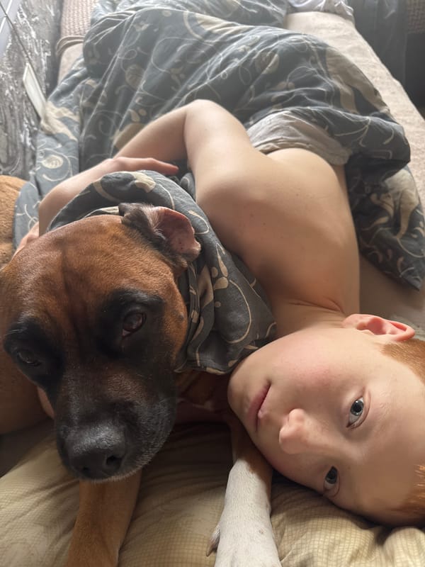 Quiet morning moments captured in Chaikovsky homes