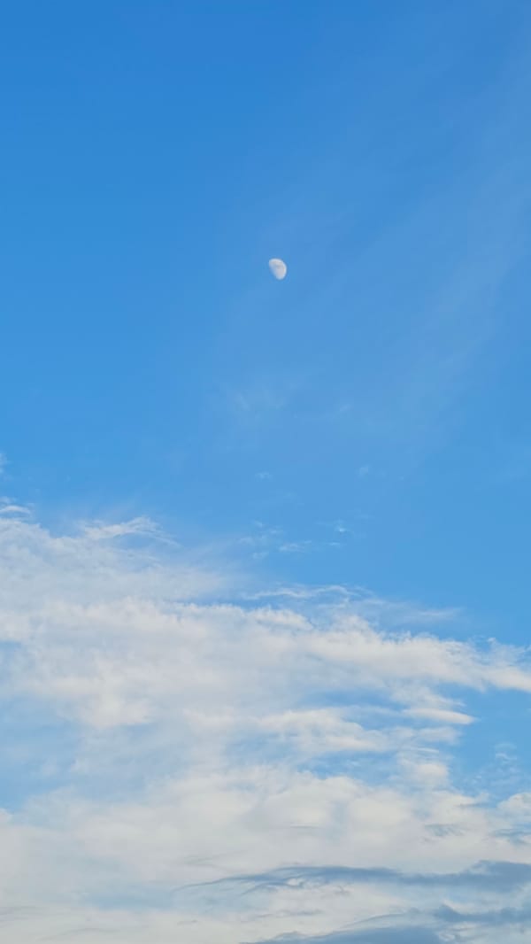Quiet afternoon in Kazakhstan: sky, garden, cat, and tech