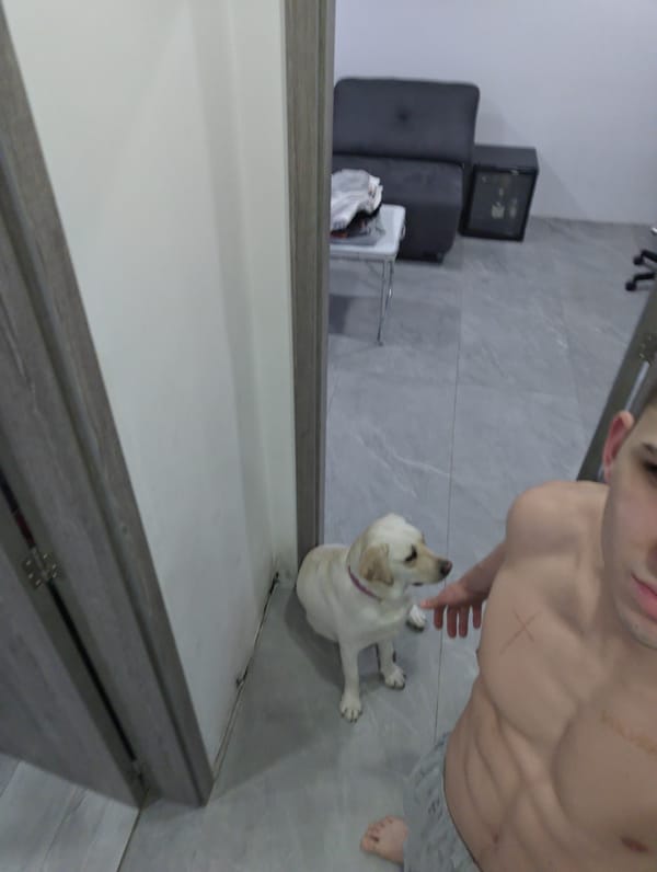 Man takes mirror selfies with dog in Bulgarian bathroom