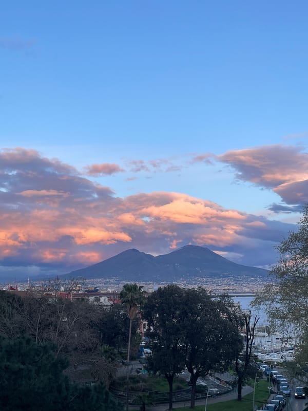 Twilight photography session captures Naples cityscape and marina views