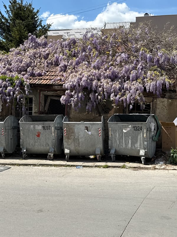 Gray dumpsters line street near abandoned building in Kragujevac
