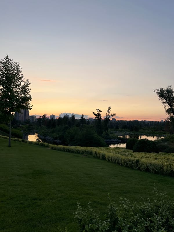 Evening park visit in Dnipro, flowers and waterfront at dusk