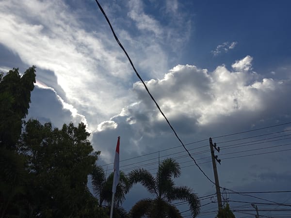 Morning observations of plants and skies in Bireuen, Indonesia