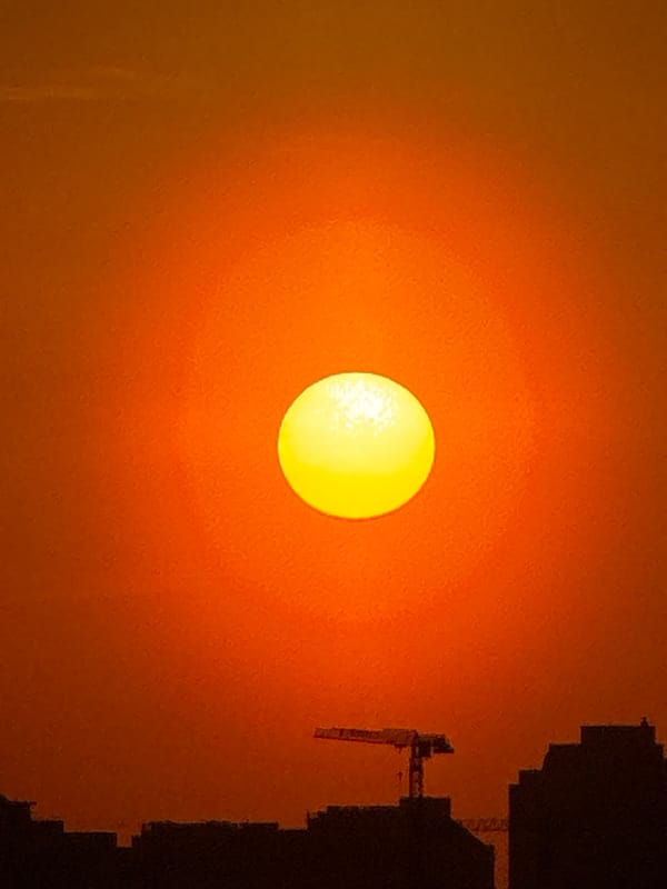 Moscow resident documents hazy sunset, indoor flowers during evening