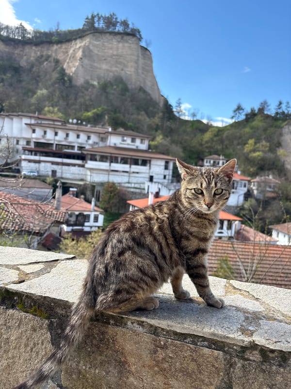 Tabby cat spotted on stone ledge overlooking Melnik, Bulgaria