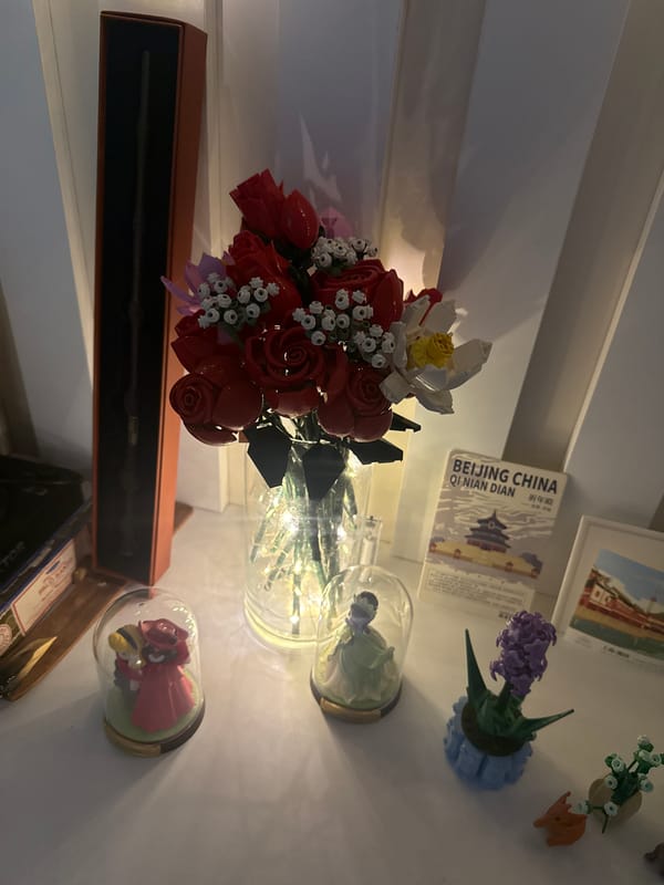 Decorated home interior with shelves and collectibles documented Batumi