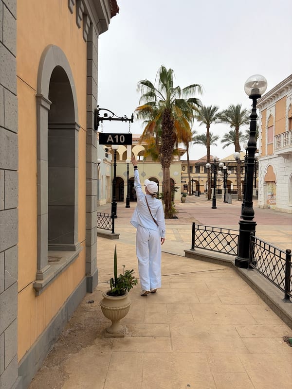 Morning stroll and wildlife sighting in Sharm El Sheikh