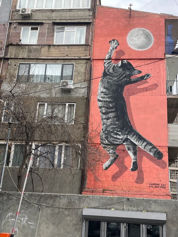 Street scenes and storefronts documented across Yerevan, Armenia