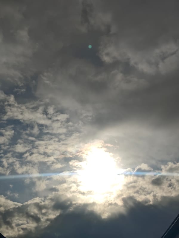 Cloudy skies and dog feeding captured in Russia