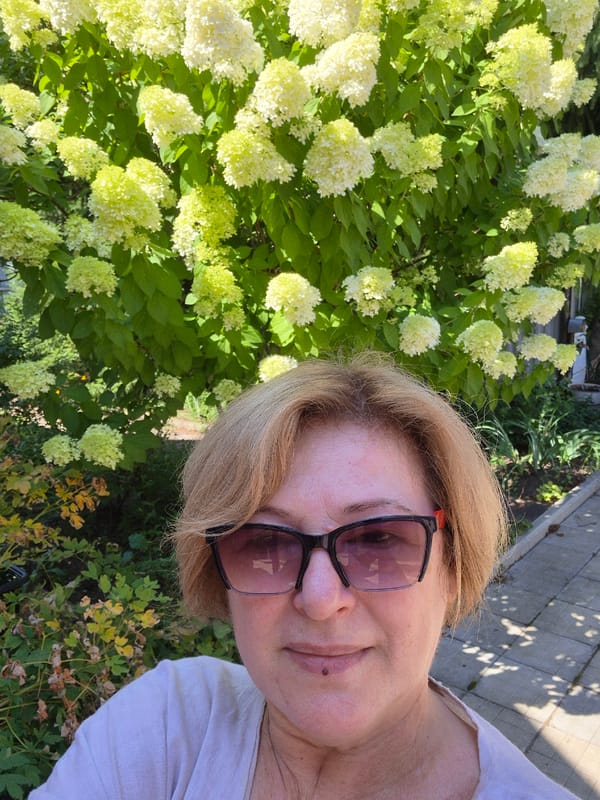 Greenhouse cucumbers and garden blooms in rural Russia