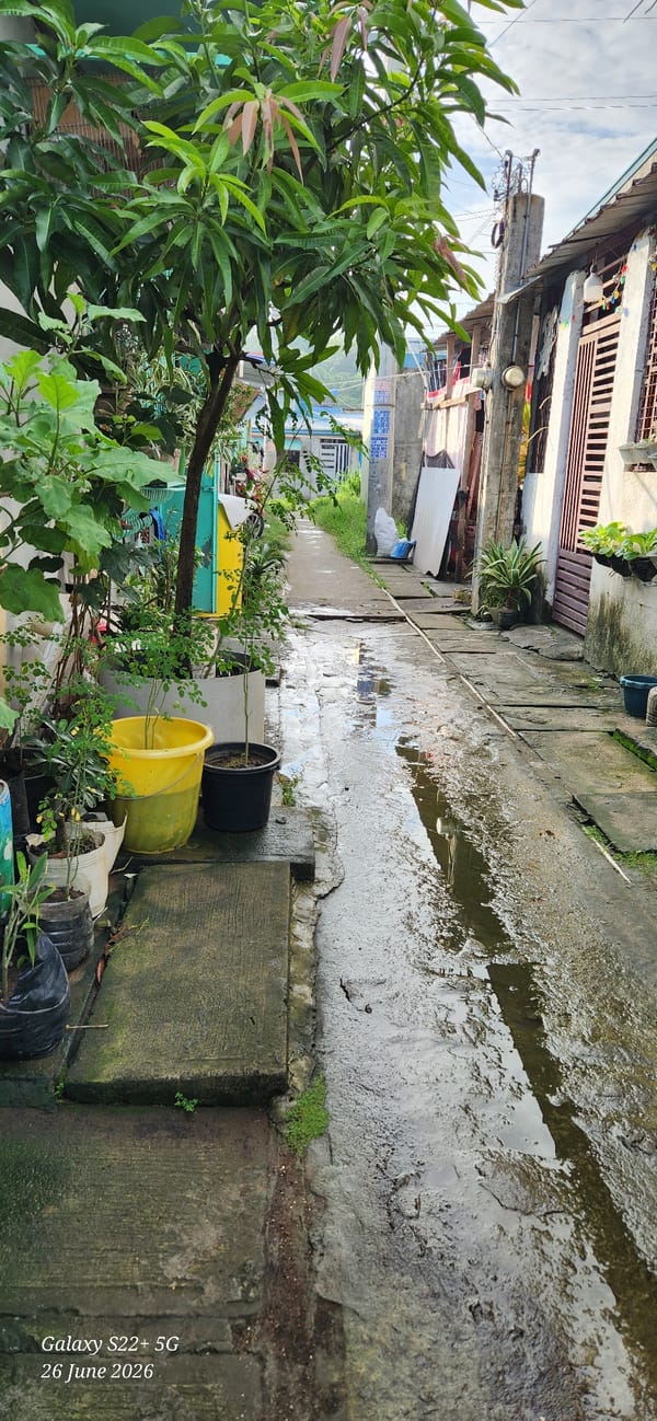 Post-rain garden life in Santa Maria, Philippines