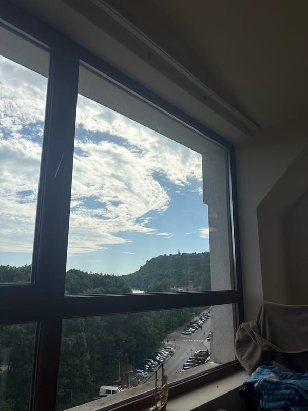 Morning observations from elevated waterfront locations documented over hour