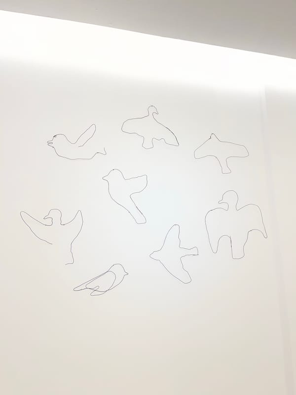 Art gallery showcases bird drawings and wire sculptures in Buenos Aires