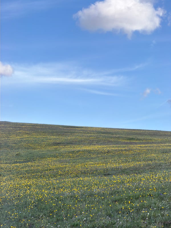 Spring landscapes documented in rural Montenegro village