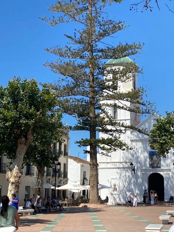 Sunny morning at Nerja's Plaza de España, pine tree center stage