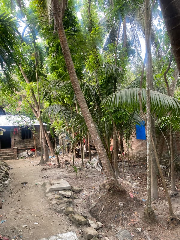 Rural Bangladesh landscape documented with palm trees and vegetation