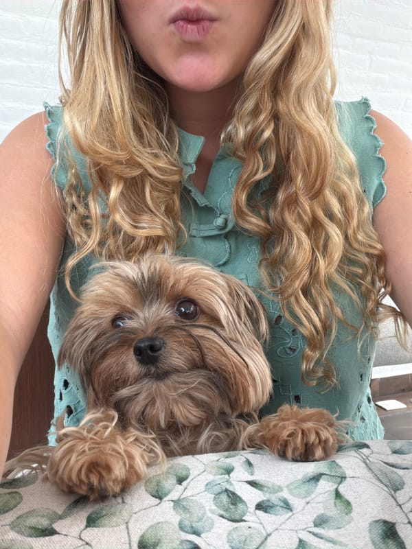 Person and Yorkshire Terrier rest together in Mexican home