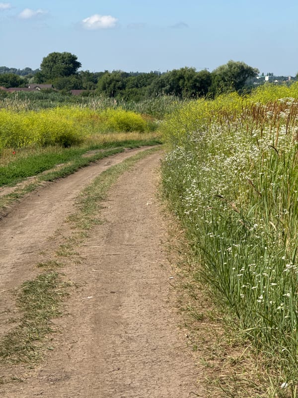 Summer fishing trip through rural Mikhaylovsk grasslands