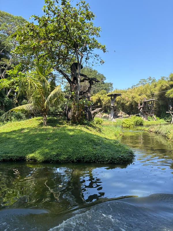 Scenes from a Bali wildlife park: hippos, ostriches, and greenery