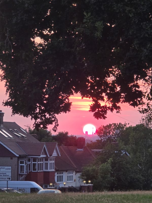 Vivid London sunset framed by silhouetted trees