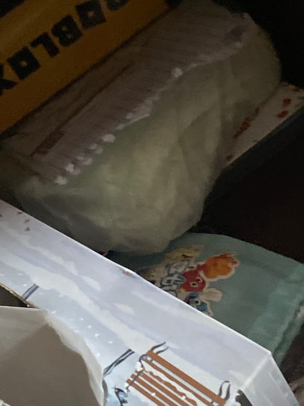 Sofia resident documents gaming gear and personal belongings