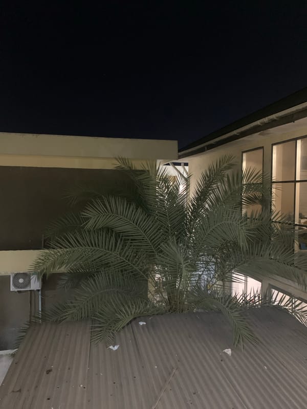 Nighttime building scene documented in Dar es Salaam