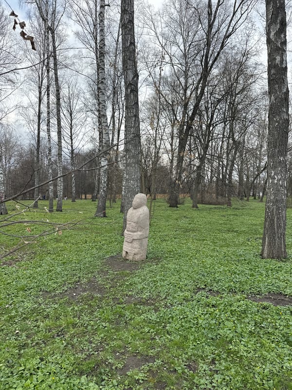 Man exercises at outdoor gym in Kursk park