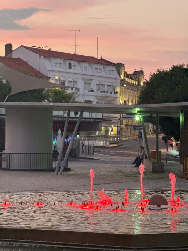 Castelo Branco at dusk: fountains, sunset skies, and city streets