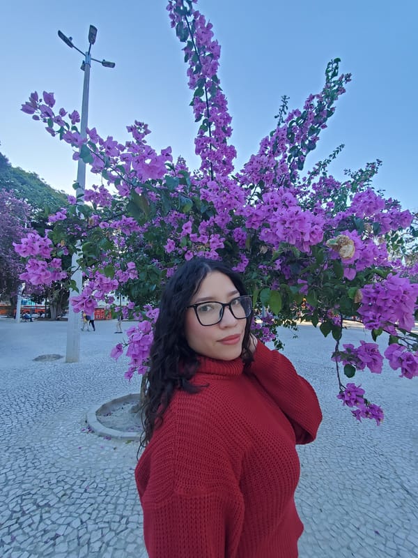 Evening documentation of Curitiba's urban landscape and flowering trees