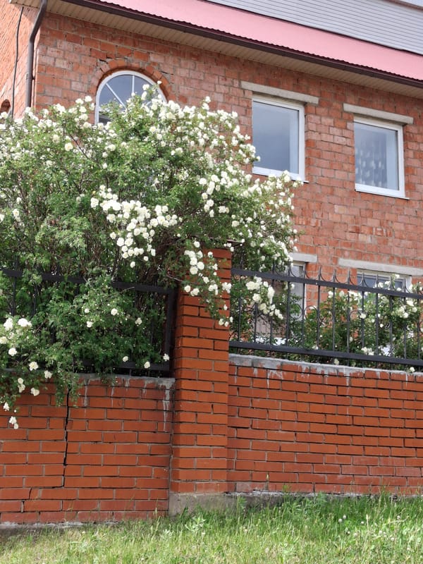 Spring blooms and quiet residential life documented across Russian communities