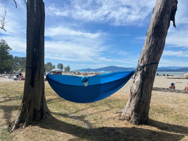 Active beach day with volleyball, food vendors, and water activities