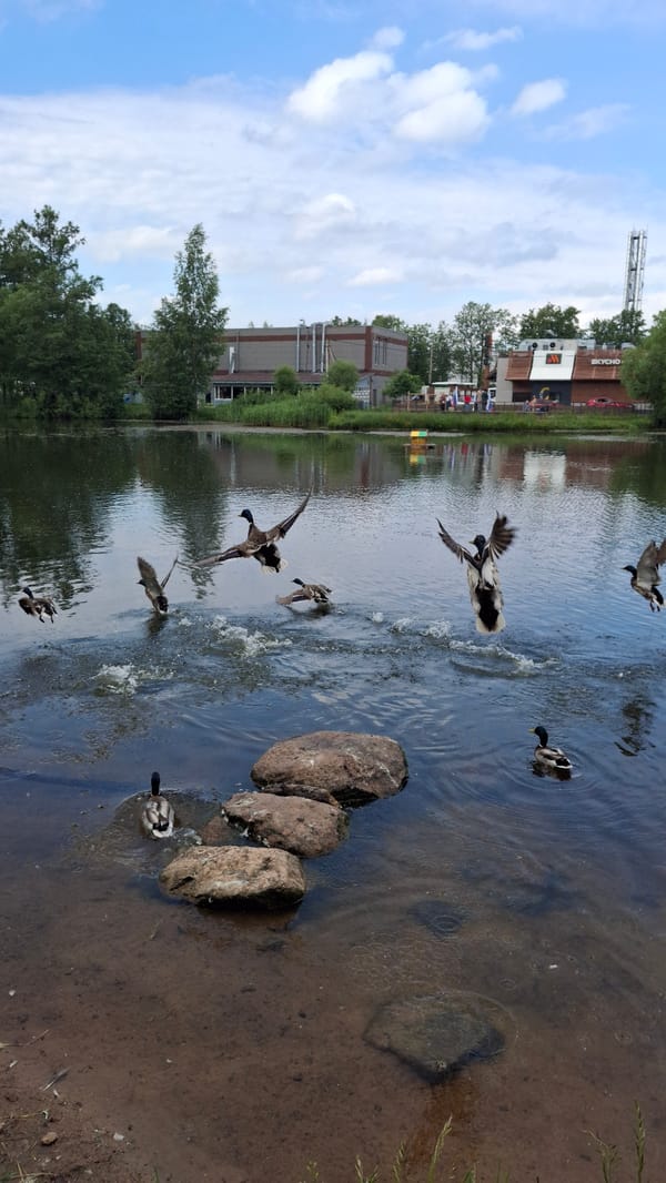 Morning park life captured in Saint Petersburg