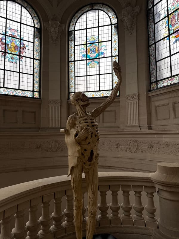 Visitor documents afternoon cultural tour of Lille's Palais des Beaux-Arts